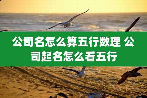 公司名怎么算五行数理 公司起名怎么看五行