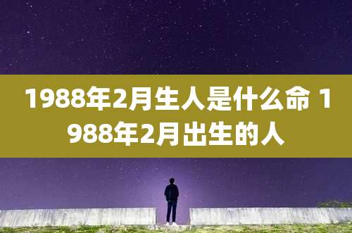 1988年2月生人是什么命 1988年2月出生的人