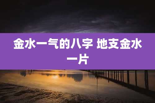 金水一气的八字 地支金水一片