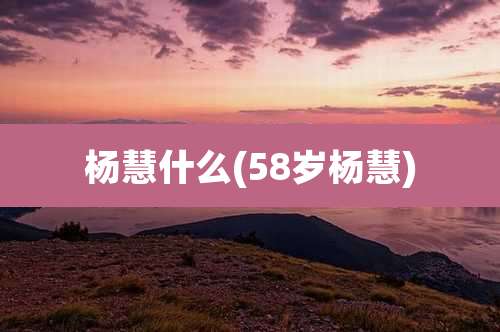 杨慧什么(58岁杨慧)