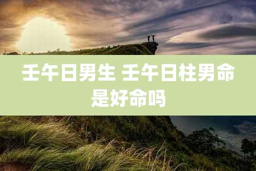 壬午日男生 壬午日柱男命是好命吗