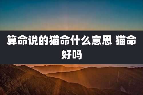 算命说的猫命什么意思 猫命好吗