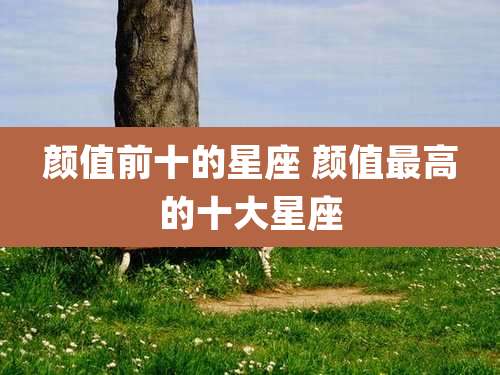 颜值前十的星座 颜值最高的十大星座