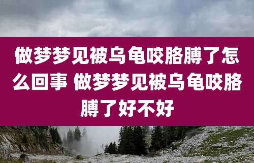 做梦梦见被乌龟咬胳膊了怎么回事 做梦梦见被乌龟咬胳膊了好不好
