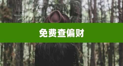 免费查偏财