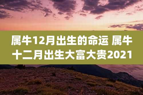 属牛12月出生的命运 属牛十二月出生大富大贵2021