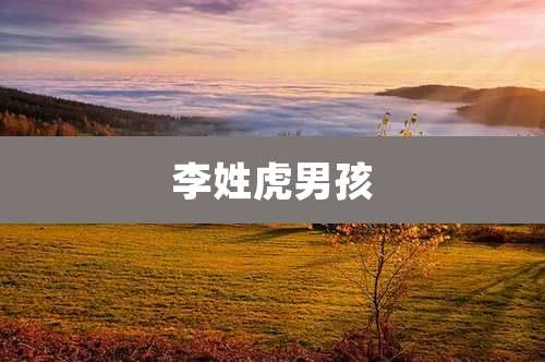 李姓虎男孩