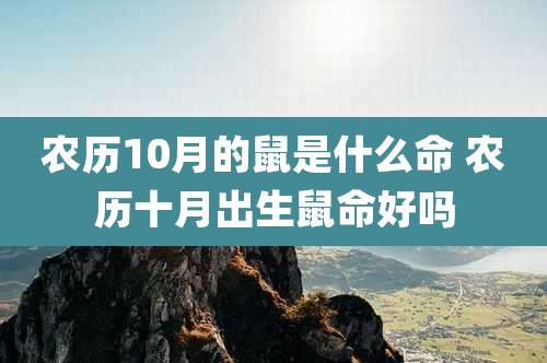 农历10月的鼠是什么命 农历十月出生鼠命好吗