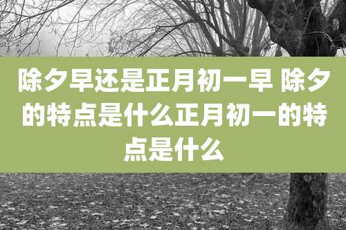 除夕早还是正月初一早 除夕的特点是什么正月初一的特点是什么