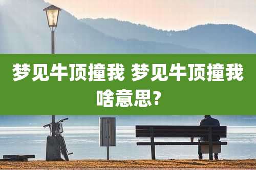 梦见牛顶撞我 梦见牛顶撞我啥意思?