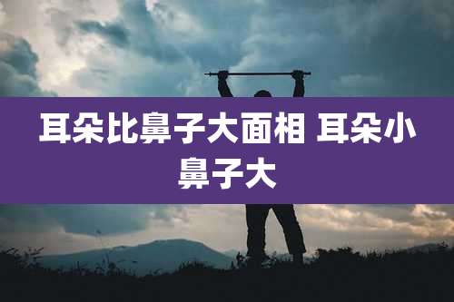 耳朵比鼻子大面相 耳朵小鼻子大