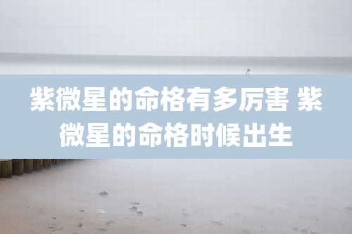 紫微星的命格有多厉害 紫微星的命格时候出生