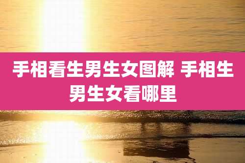 手相看生男生女图解 手相生男生女看哪里