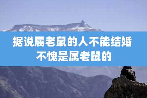 据说属老鼠的人不能结婚 不愧是属老鼠的