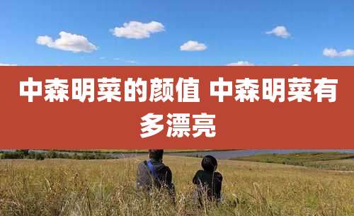 中森明菜的颜值 中森明菜有多漂亮