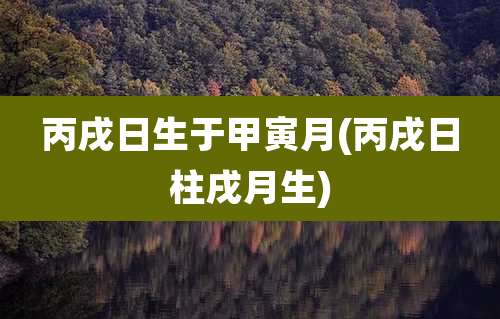 丙戌日生于甲寅月(丙戌日柱戌月生)
