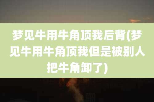 梦见牛用牛角顶我后背(梦见牛用牛角顶我但是被别人把牛角卸了)