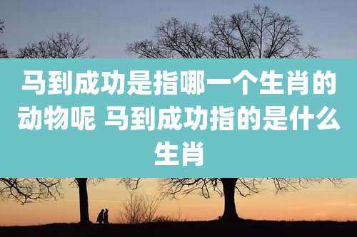 马到成功是指哪一个生肖的动物呢 马到成功指的是什么生肖