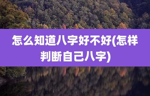 怎么知道八字好不好(怎样判断自己八字)