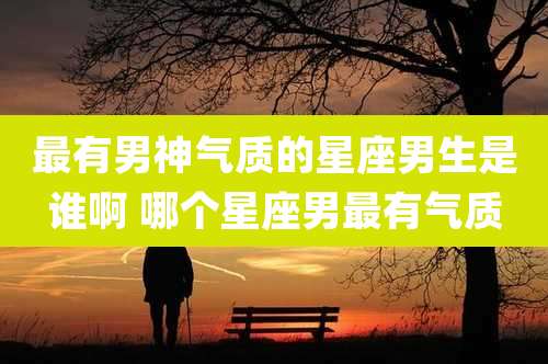 最有男神气质的星座男生是谁啊 哪个星座男最有气质