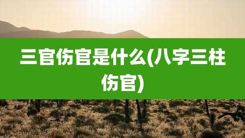 三官伤官是什么(八字三柱伤官)