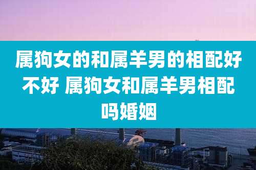 属狗女的和属羊男的相配好不好 属狗女和属羊男相配吗婚姻