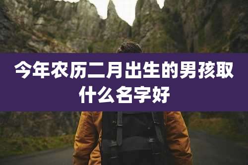 今年农历二月出生的男孩取什么名字好