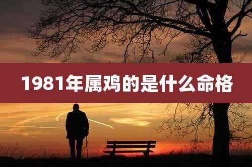 1981年属鸡的是什么命格
