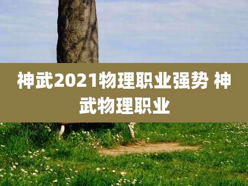 神武2021物理职业强势 神武物理职业