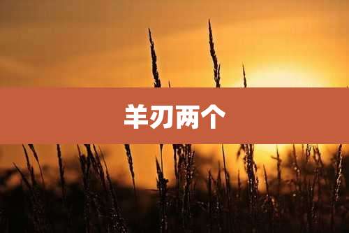 羊刃两个