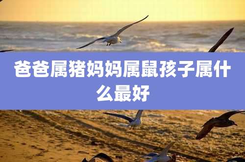 爸爸属猪妈妈属鼠孩子属什么最好