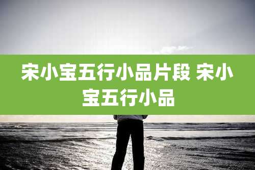宋小宝五行小品片段 宋小宝五行小品