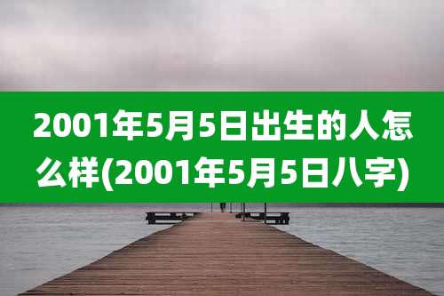 2001年5月5日出生的人怎么样(2001年5月5日八字)