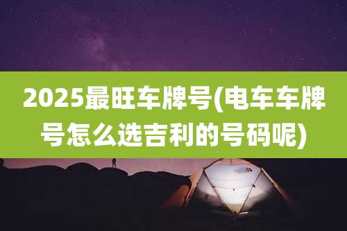 2025最旺车牌号(电车车牌号怎么选吉利的号码呢)