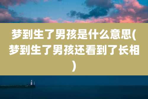 梦到生了男孩是什么意思(梦到生了男孩还看到了长相)