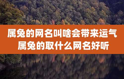 属兔的网名叫啥会带来运气 属兔的取什么网名好听