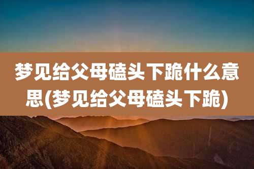 梦见给父母磕头下跪什么意思(梦见给父母磕头下跪)