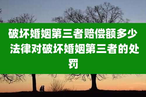 破坏婚姻第三者赔偿额多少 法律对破坏婚姻第三者的处罚