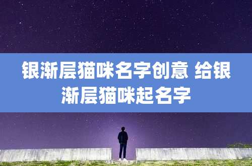 银渐层猫咪名字创意 给银渐层猫咪起名字