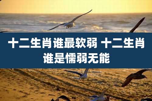 十二生肖谁最软弱 十二生肖谁是懦弱无能