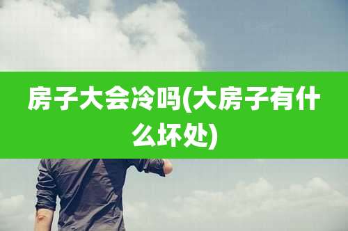房子大会冷吗(大房子有什么坏处)