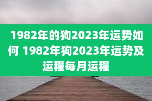 1982年的狗2023年运势如何 1982年狗2023年运势及运程每月运程