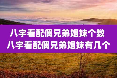 八字看配偶兄弟姐妹个数 八字看配偶兄弟姐妹有几个