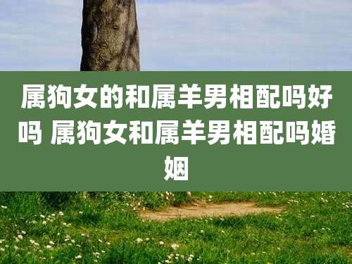 属狗女的和属羊男相配吗好吗 属狗女和属羊男相配吗婚姻