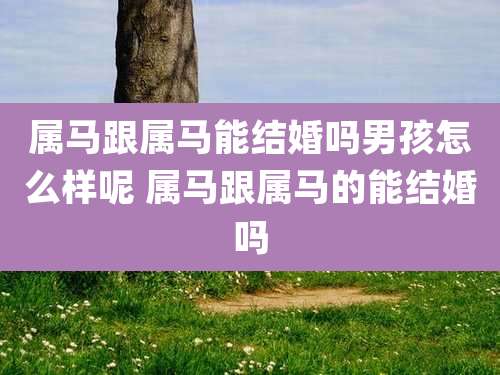 属马跟属马能结婚吗男孩怎么样呢 属马跟属马的能结婚吗