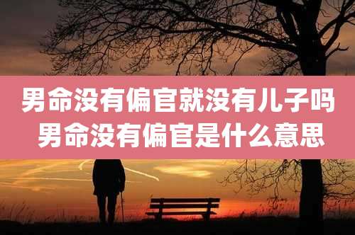 男命没有偏官就没有儿子吗 男命没有偏官是什么意思