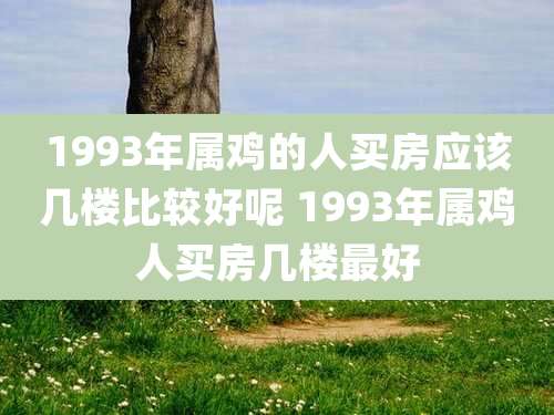 1993年属鸡的人买房应该几楼比较好呢 1993年属鸡人买房几楼最好