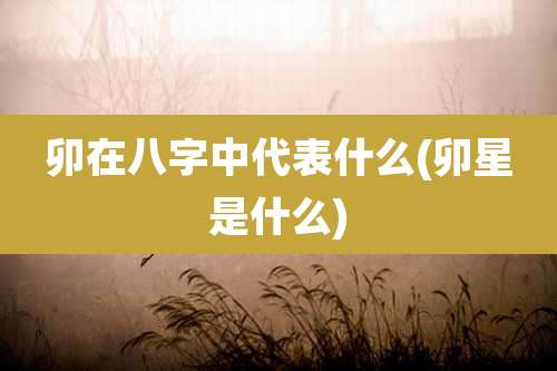 卯在八字中代表什么(卯星是什么)