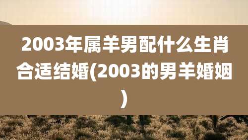 2003年属羊男配什么生肖合适结婚(2003的男羊婚姻)