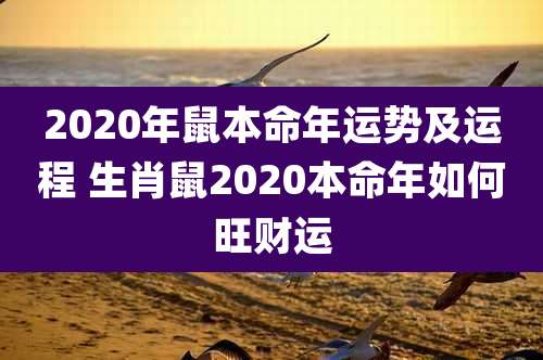 2020年鼠本命年运势及运程 生肖鼠2020本命年如何旺财运